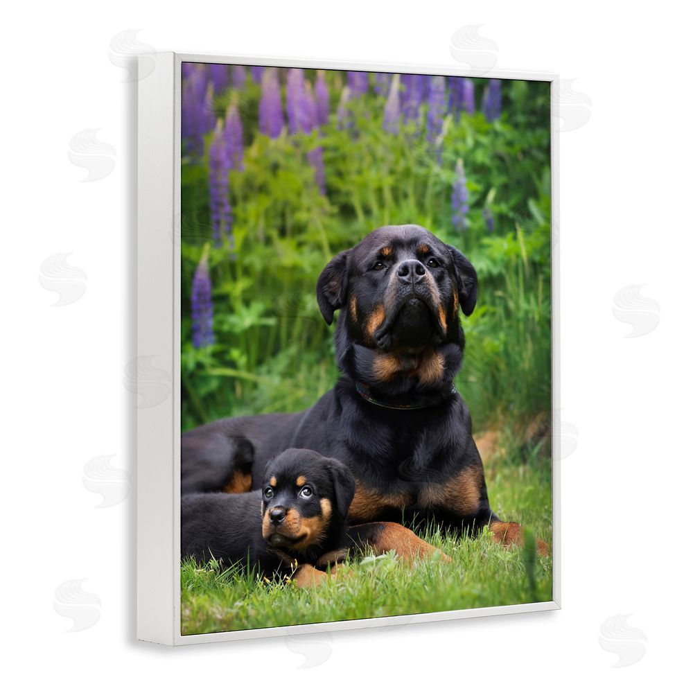 Darya Zelentsova Rott Puppies in Meadow White Framed Giclee Wall Art Print