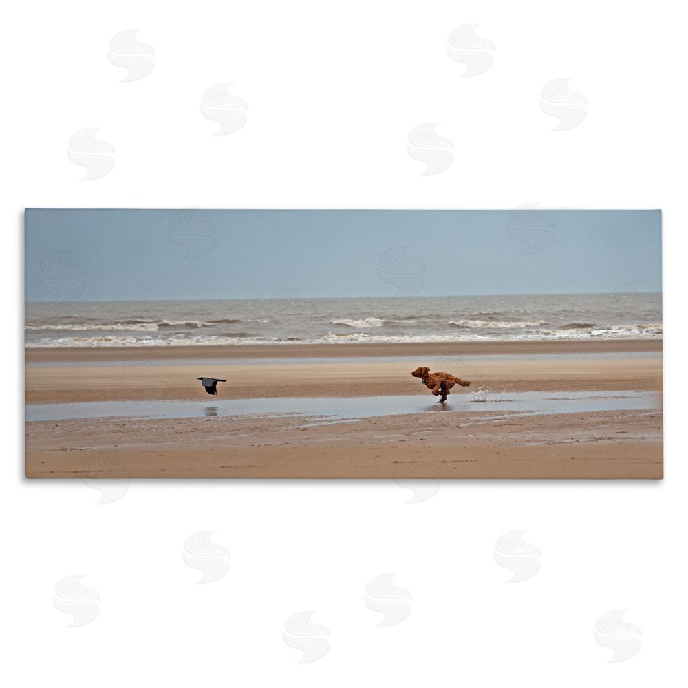 Gill Woodcock Dog Chasing Bird on Beach Stretched Canvas Wall Art Print