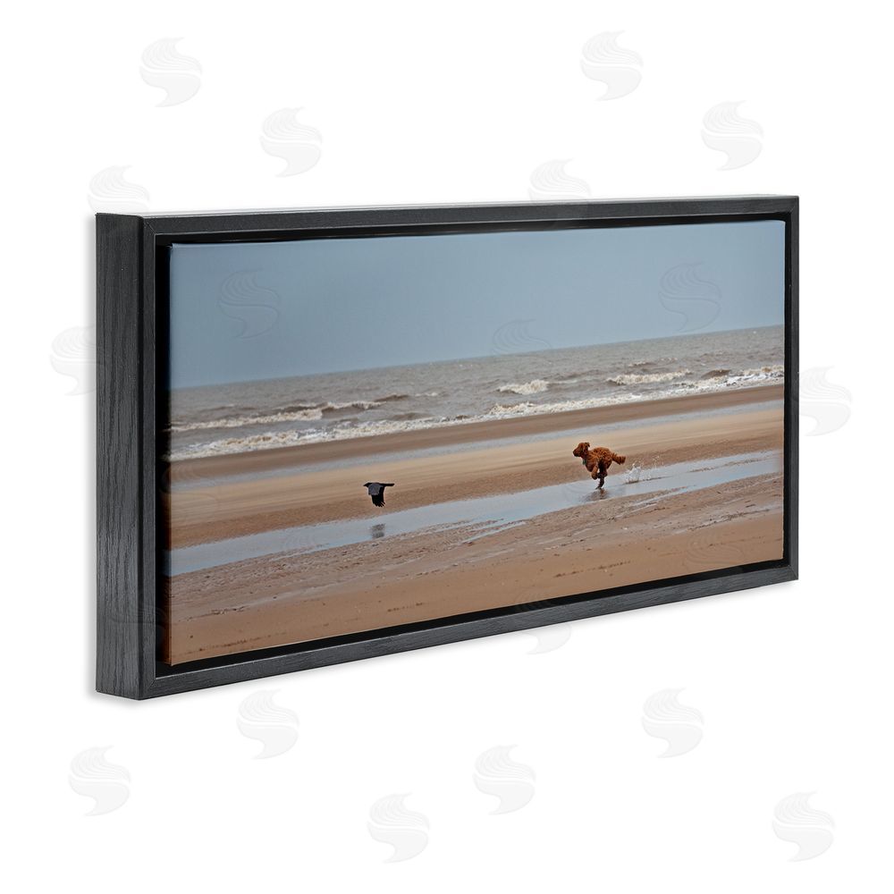 Gill Woodcock Dog Chasing Bird on Beach Black Floating Frame Canvas Wall Art Print