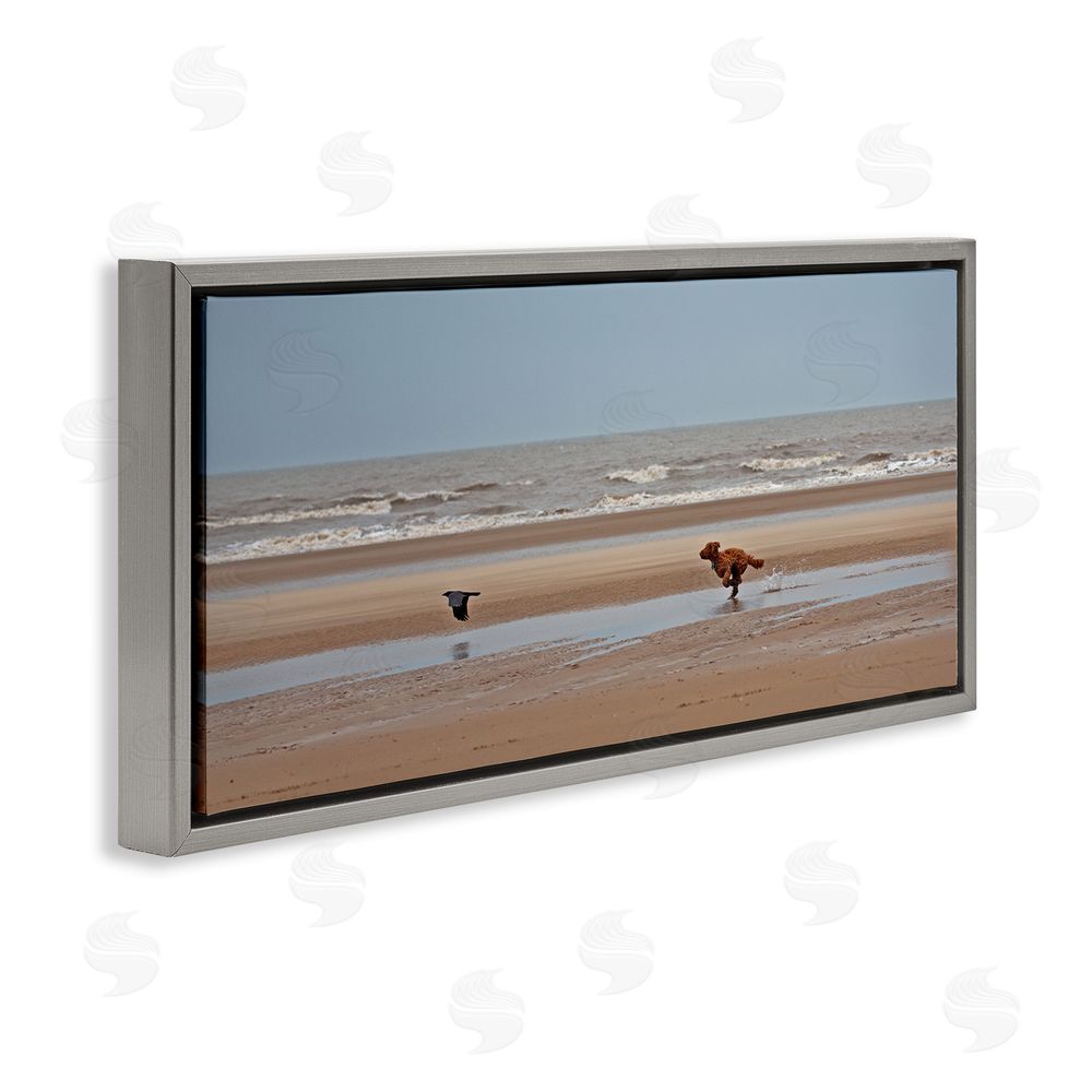 Gill Woodcock Dog Chasing Bird on Beach Grey Floating Frame Canvas Wall Art Print