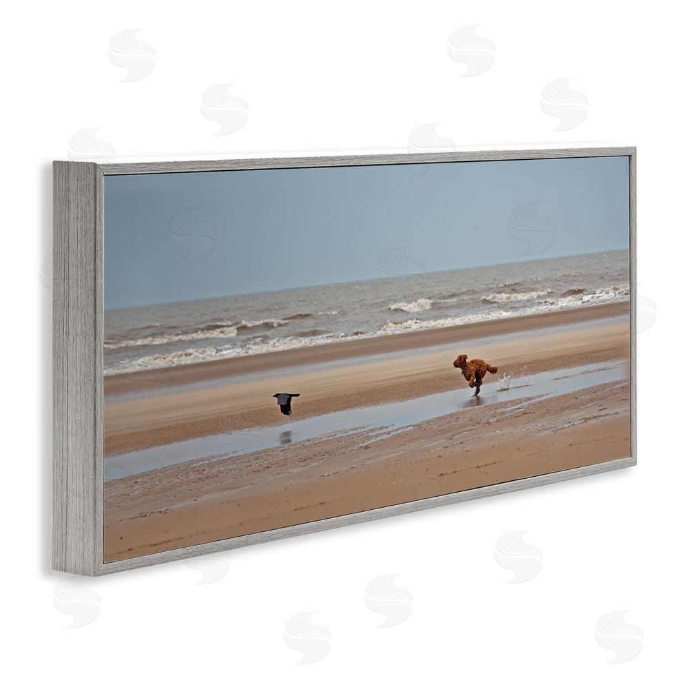 Gill Woodcock Dog Chasing Bird on Beach Gray Framed Giclee Wall Art Print
