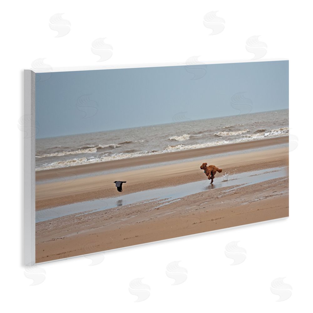 Gill Woodcock Dog Chasing Bird on Beach Wall Plaque Art Print