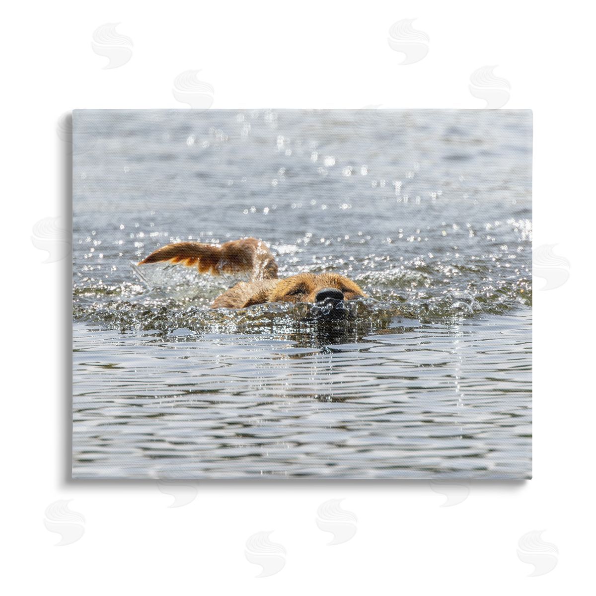 Angela Farnsworth Dog Swimming in Ocean Stretched Canvas Wall Art Print