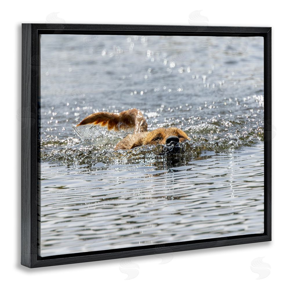 Angela Farnsworth Dog Swimming in Ocean Black Floating Frame Canvas Wall Art Print