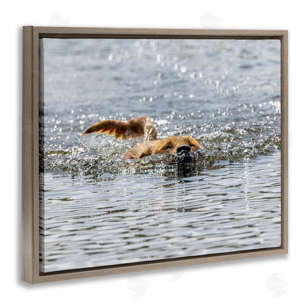 Angela Farnsworth Dog Swimming in Ocean Brown Floating Frame Canvas Wall Art Print
