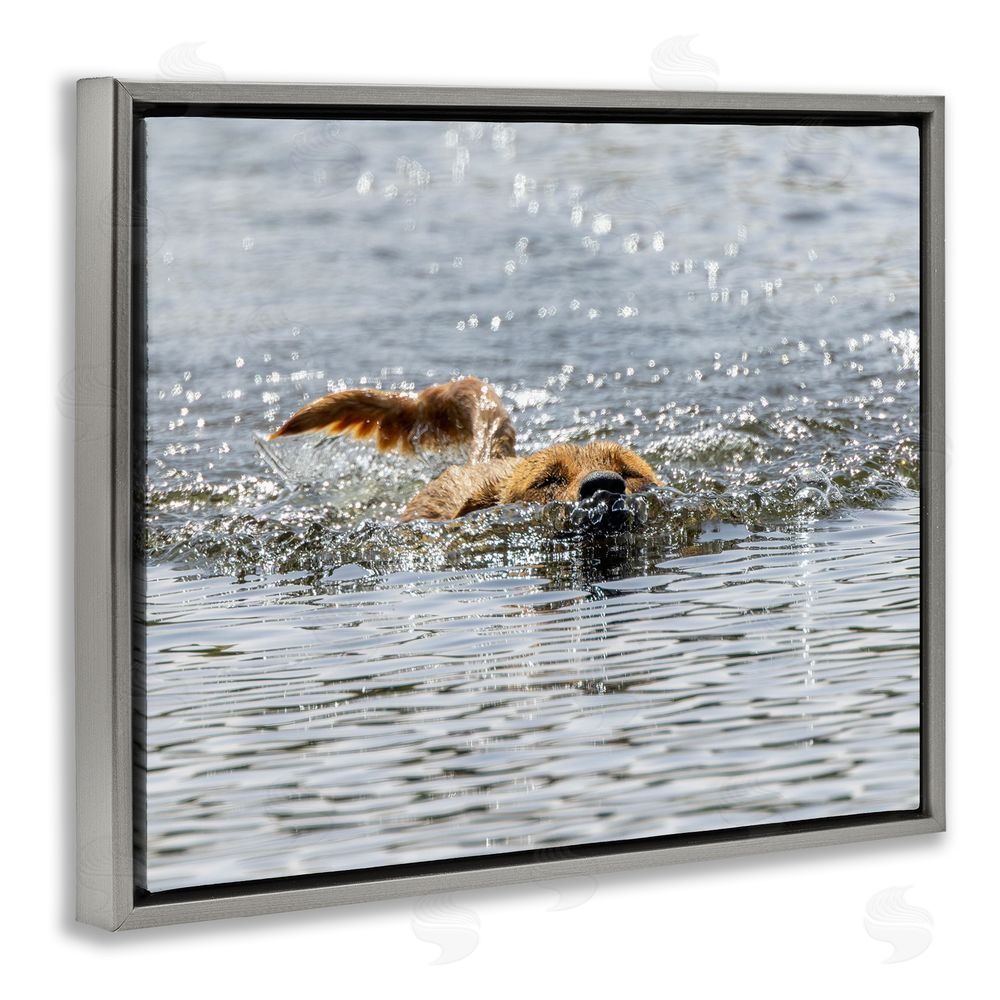Angela Farnsworth Dog Swimming in Ocean Grey Floating Frame Canvas Wall Art Print