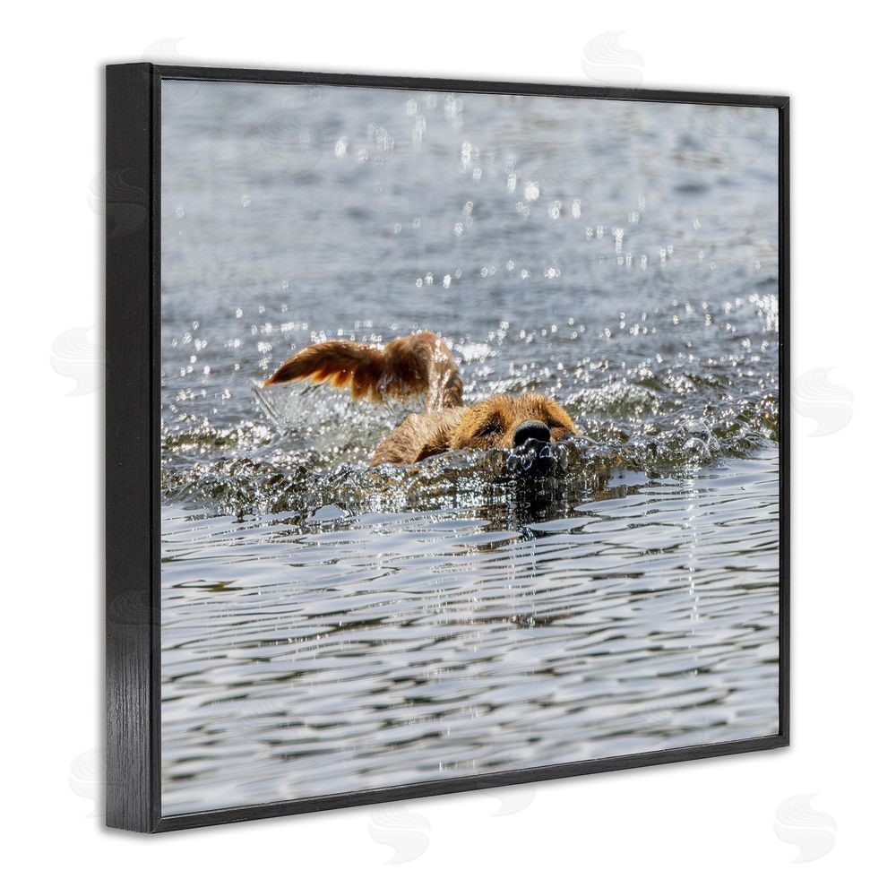 Angela Farnsworth Dog Swimming in Ocean Black Framed Giclee Wall Art Print