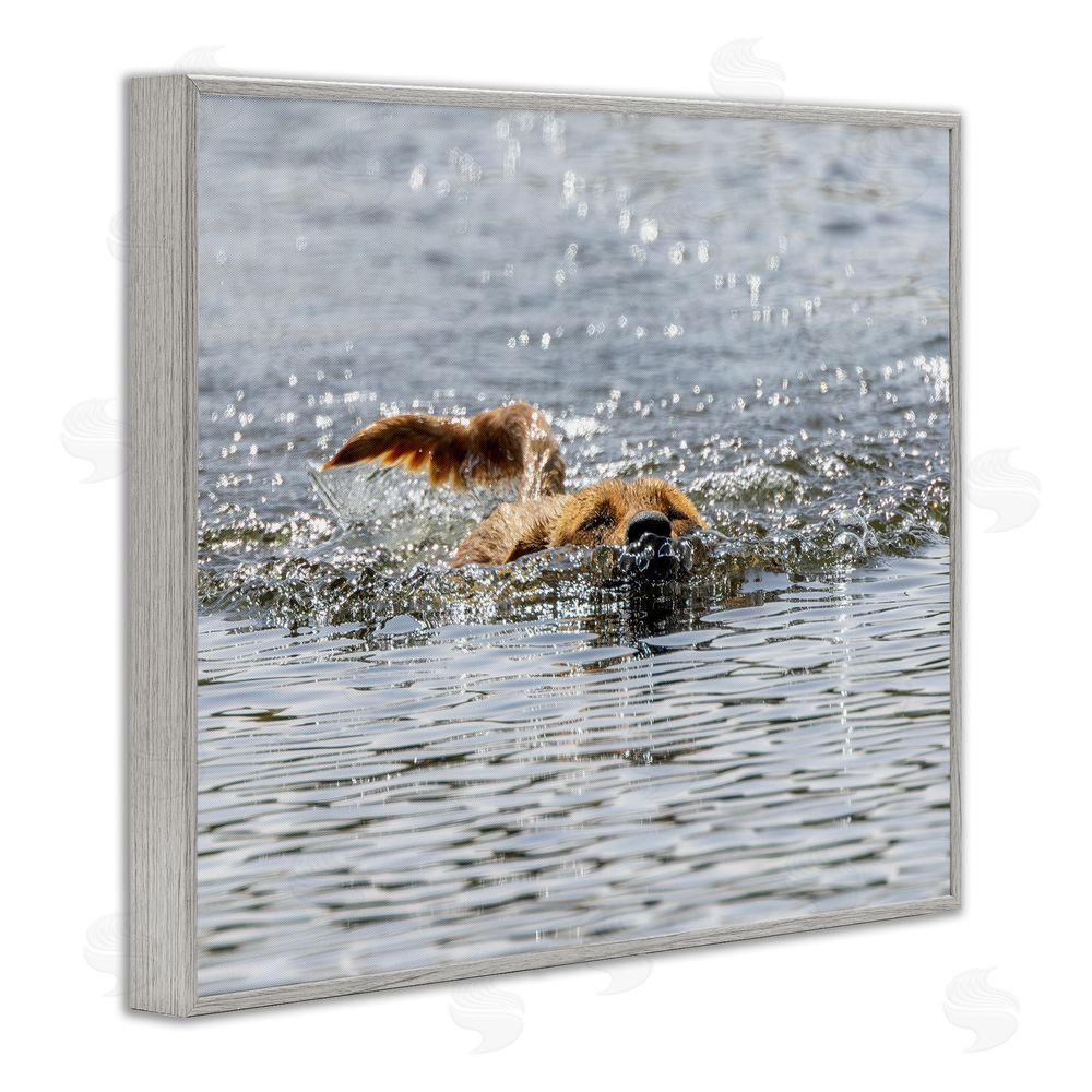 Angela Farnsworth Dog Swimming in Ocean Gray Framed Giclee Wall Art Print