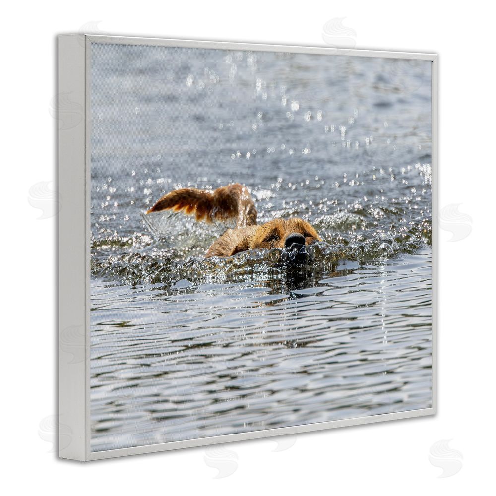 Angela Farnsworth Dog Swimming in Ocean White Framed Giclee Wall Art Print