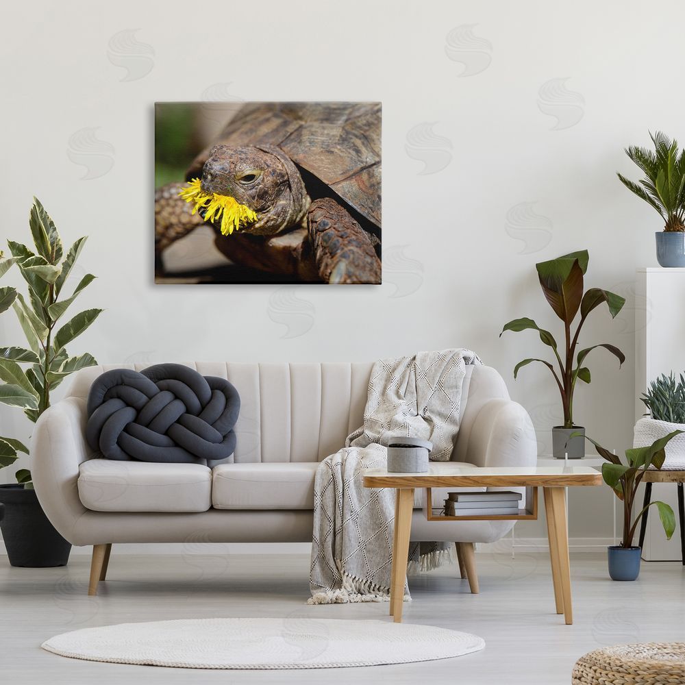 Jonathan Casey Turtle Eating Dandelion Canvas Wall Art Print in Room