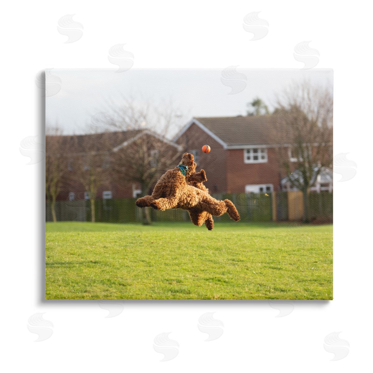 Gill Woodcock Eye on the Ball Dog Stretched Canvas Wall Art Print