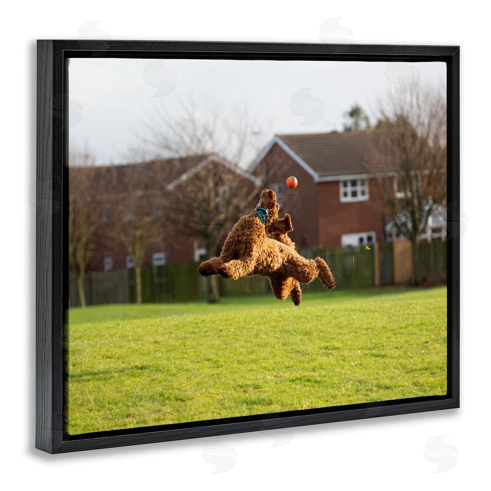 Gill Woodcock Eye on the Ball Dog Black Floating Frame Canvas Wall Art Print