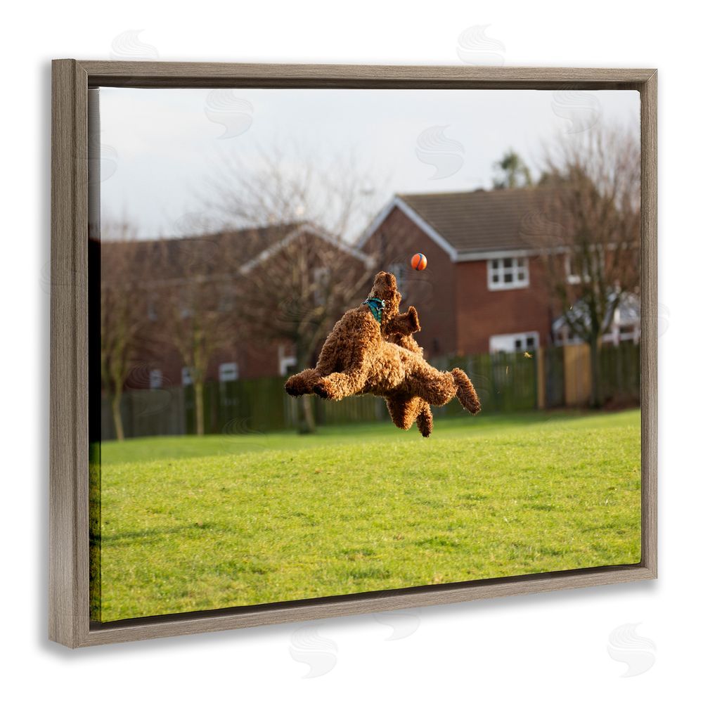 Gill Woodcock Eye on the Ball Dog Brown Floating Frame Canvas Wall Art Print