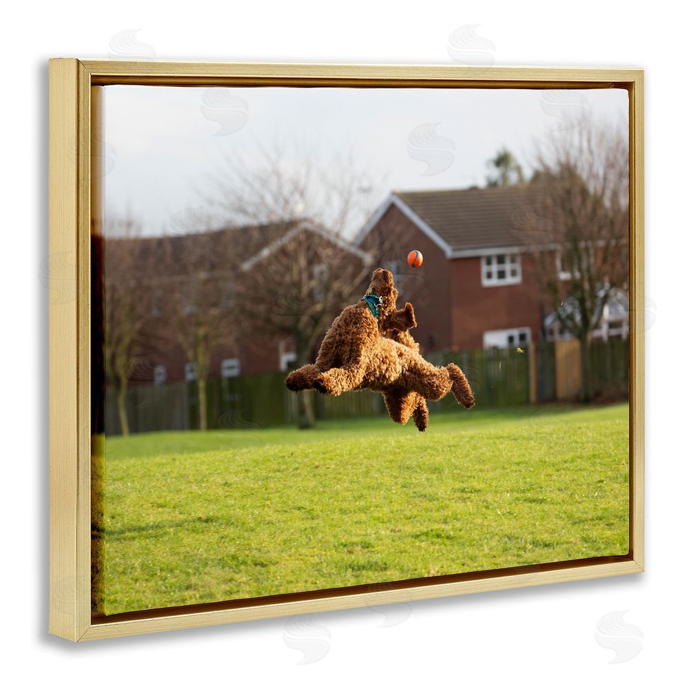Gill Woodcock Eye on the Ball Dog Gold Floating Frame Canvas Wall Art Print