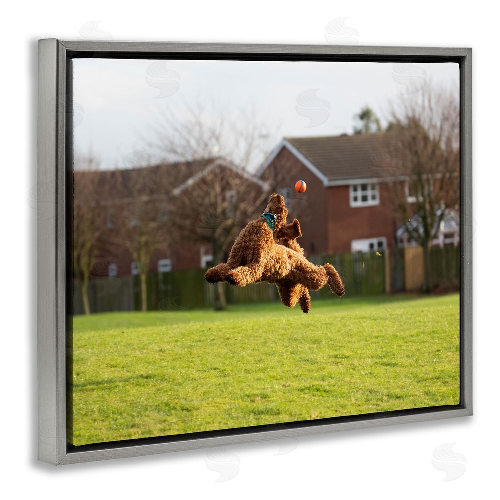 Gill Woodcock Eye on the Ball Dog Grey Floating Frame Canvas Wall Art Print