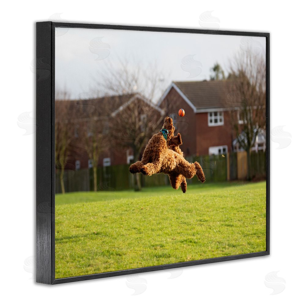 Gill Woodcock Eye on the Ball Dog Black Framed Giclee Wall Art Print