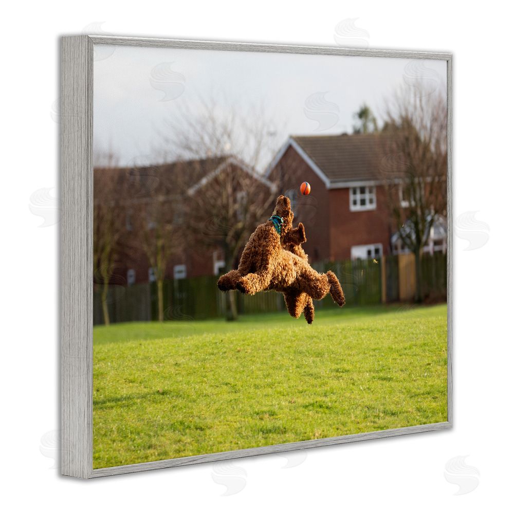 Gill Woodcock Eye on the Ball Dog Gray Framed Giclee Wall Art Print