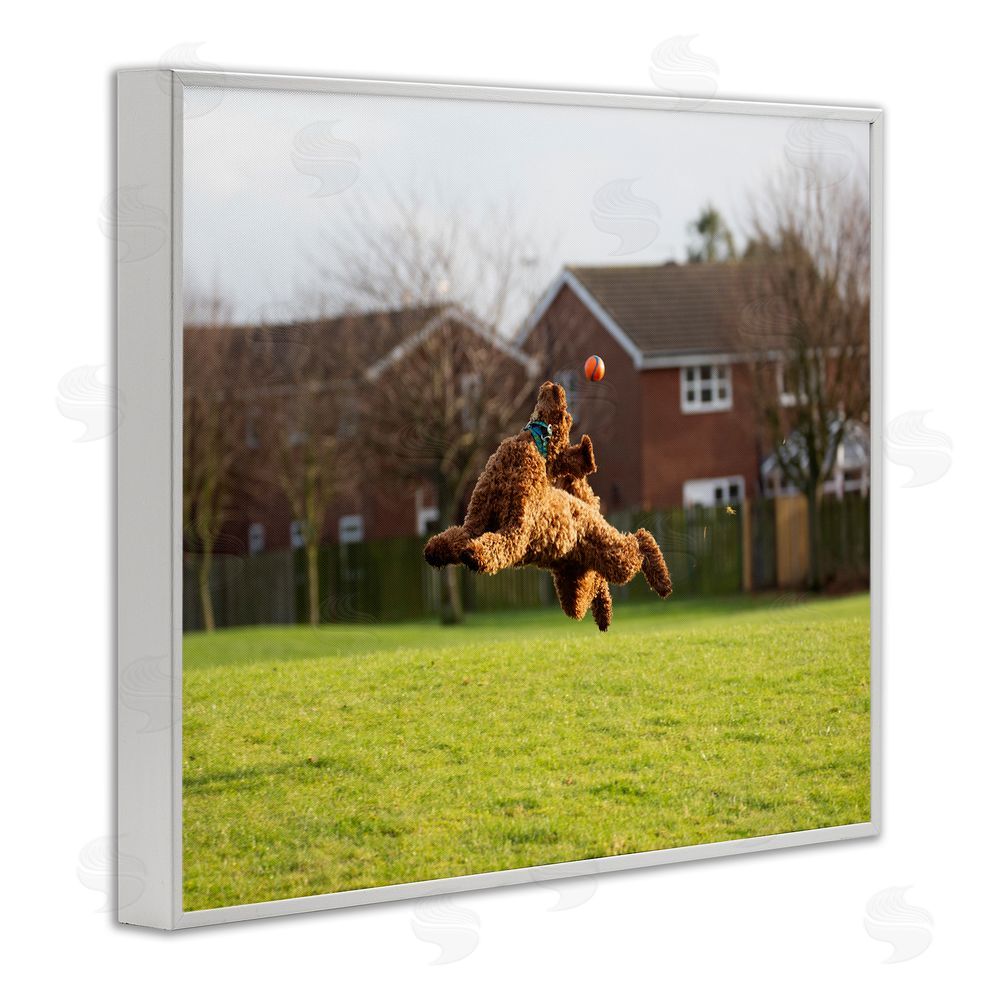 Gill Woodcock Eye on the Ball Dog White Framed Giclee Wall Art Print