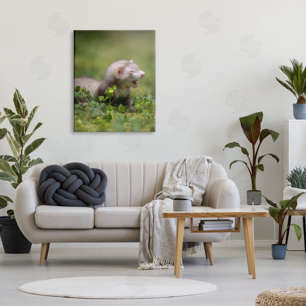 Darya Zelentsova Baby Ferret in Grass Canvas Wall Art Print in Room