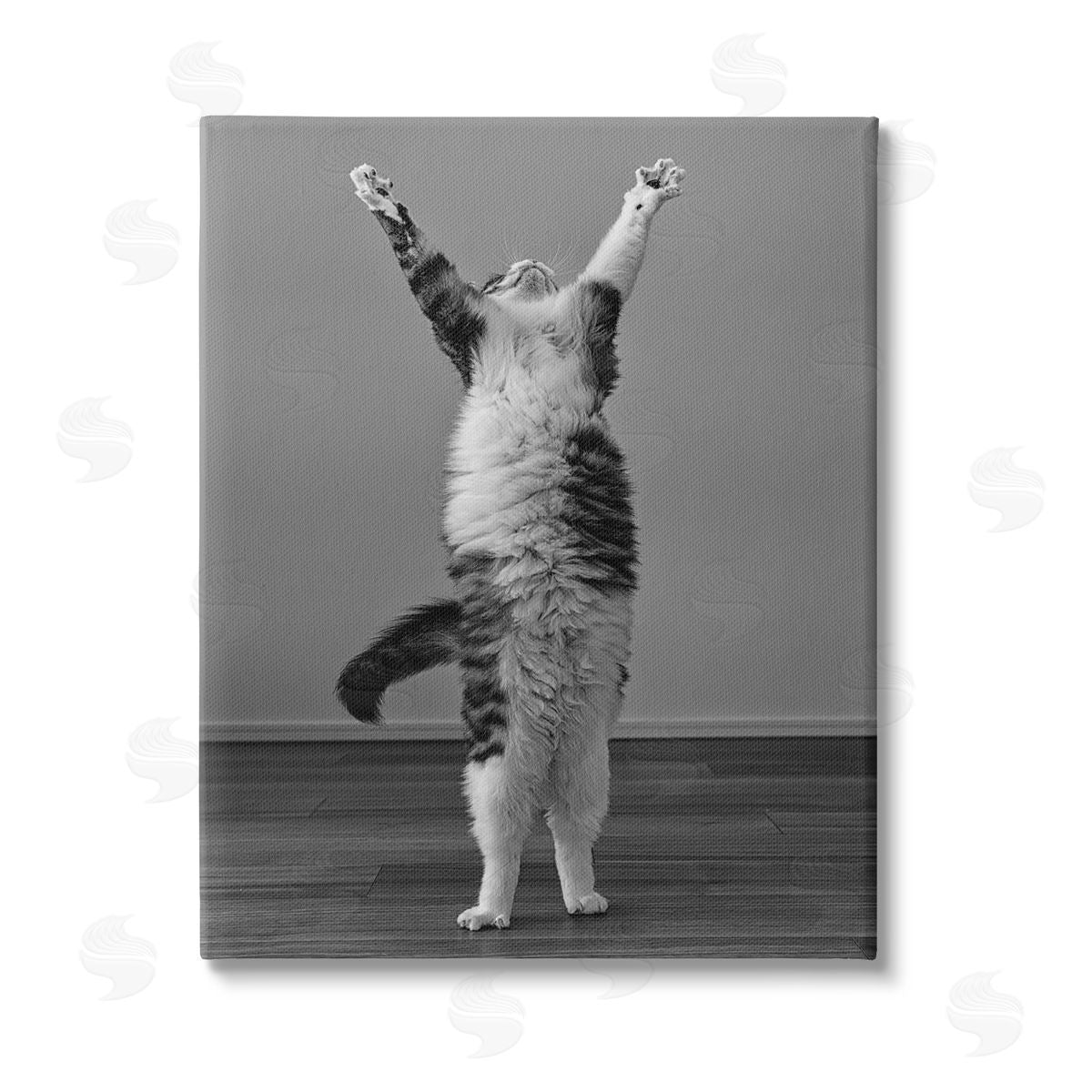 Kazutoshi Ono Funny Cat Victory Pose Stretched Canvas Wall Art Print