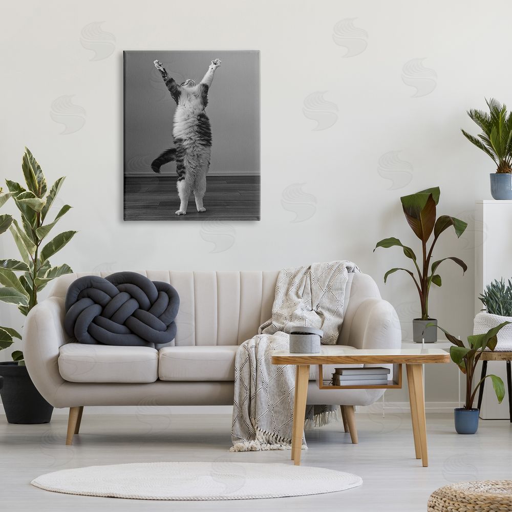 Kazutoshi Ono Funny Cat Victory Pose Canvas Wall Art Print in Room