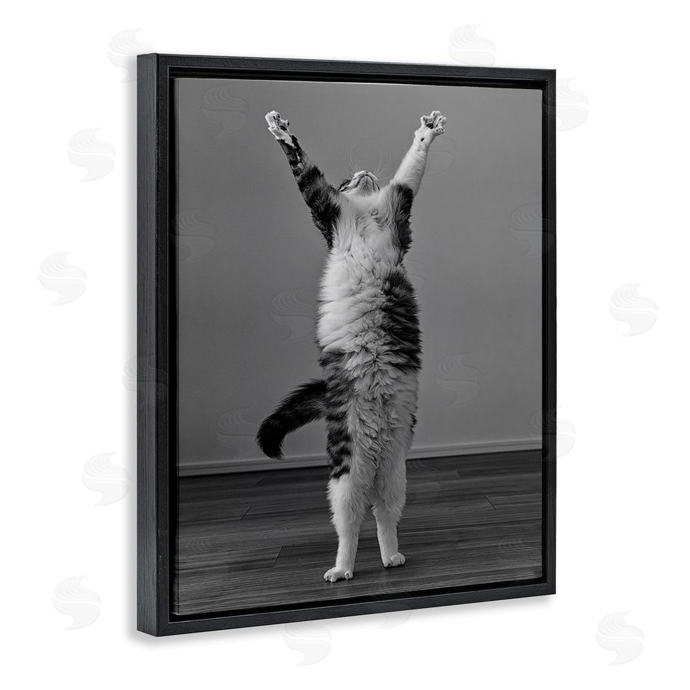 Kazutoshi Ono Funny Cat Victory Pose Black Floating Frame Canvas Wall Art Print