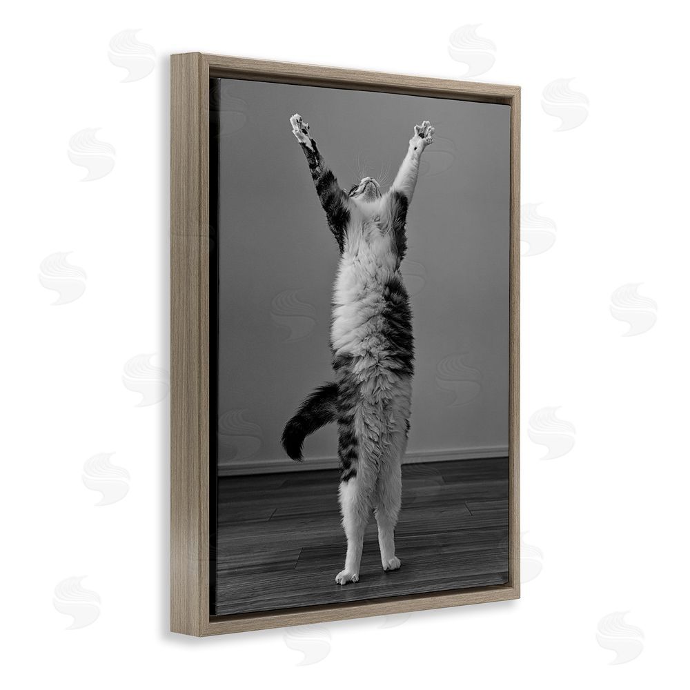 Kazutoshi Ono Funny Cat Victory Pose Brown Floating Frame Canvas Wall Art Print