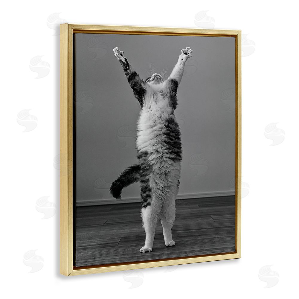 Kazutoshi Ono Funny Cat Victory Pose Gold Floating Frame Canvas Wall Art Print