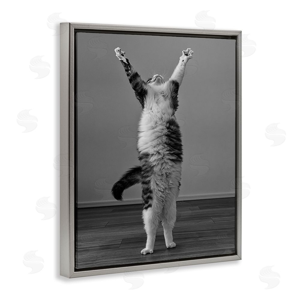 Kazutoshi Ono Funny Cat Victory Pose Grey Floating Frame Canvas Wall Art Print