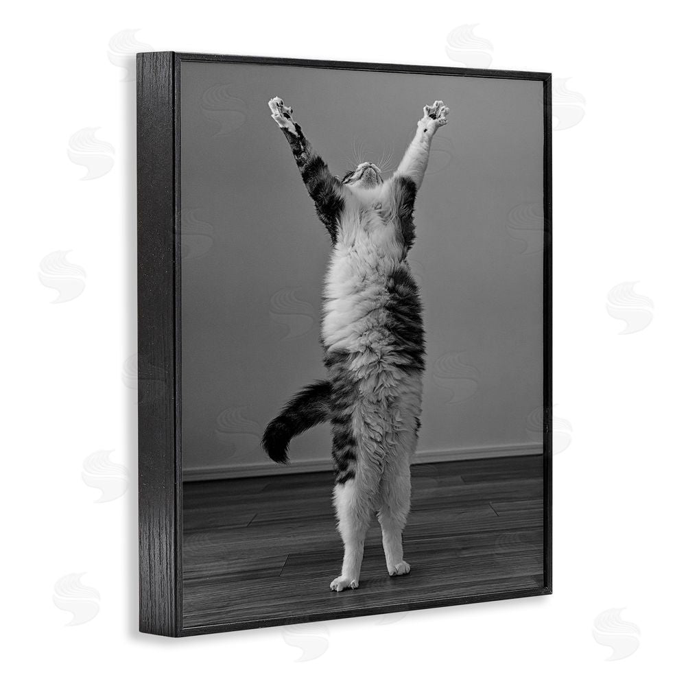 Kazutoshi Ono Funny Cat Victory Pose Black Framed Giclee Wall Art Print