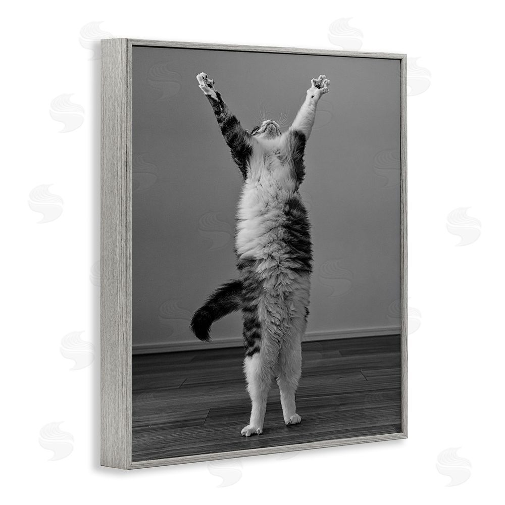 Kazutoshi Ono Funny Cat Victory Pose Gray Framed Giclee Wall Art Print