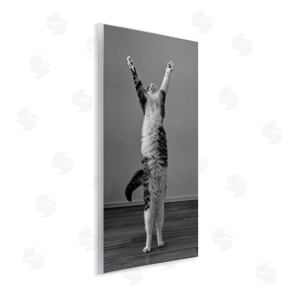 Kazutoshi Ono Funny Cat Victory Pose Wall Plaque Art Print