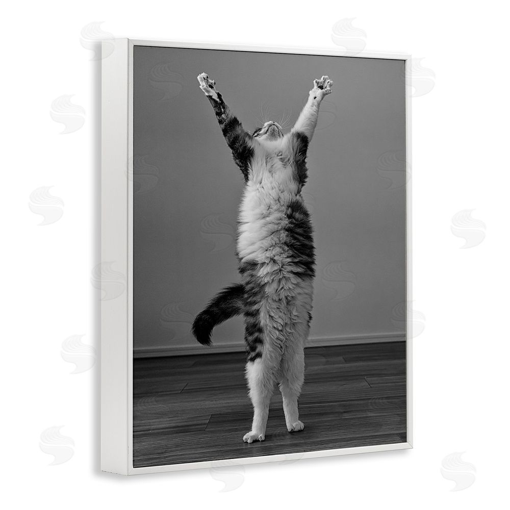 Kazutoshi Ono Funny Cat Victory Pose White Framed Giclee Wall Art Print