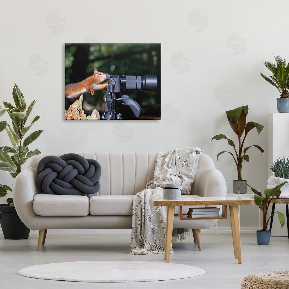 Julie Hunt Funny Squirrel Photographer Canvas Wall Art Print in Room