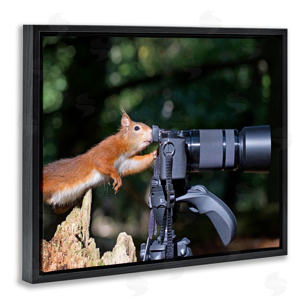 Julie Hunt Funny Squirrel Photographer Black Floating Frame Canvas Wall Art Print