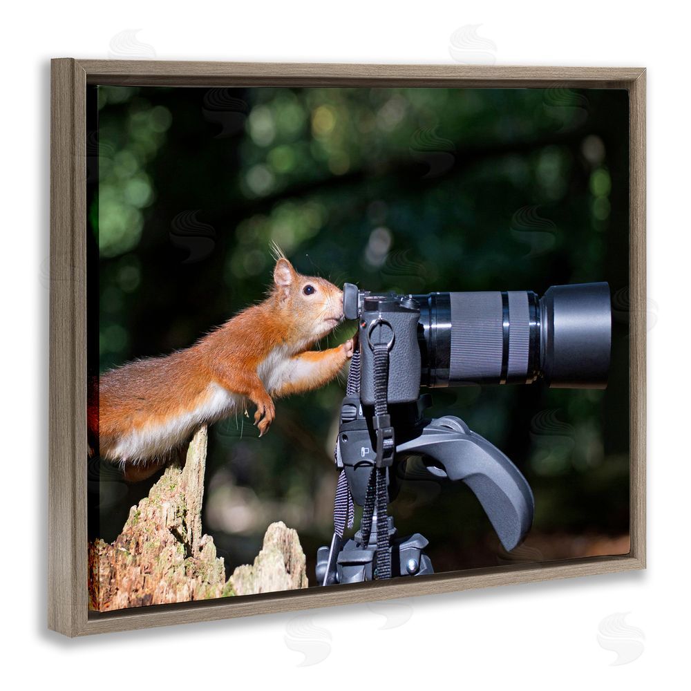 Julie Hunt Funny Squirrel Photographer Brown Floating Frame Canvas Wall Art Print
