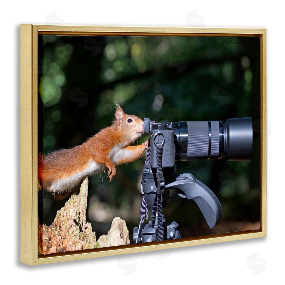 Julie Hunt Funny Squirrel Photographer Gold Floating Frame Canvas Wall Art Print