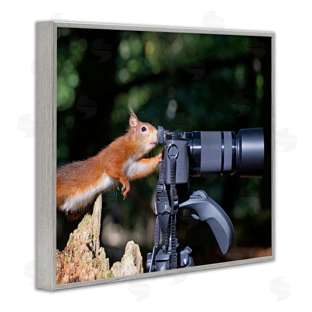 Julie Hunt Funny Squirrel Photographer Gray Framed Giclee Wall Art Print