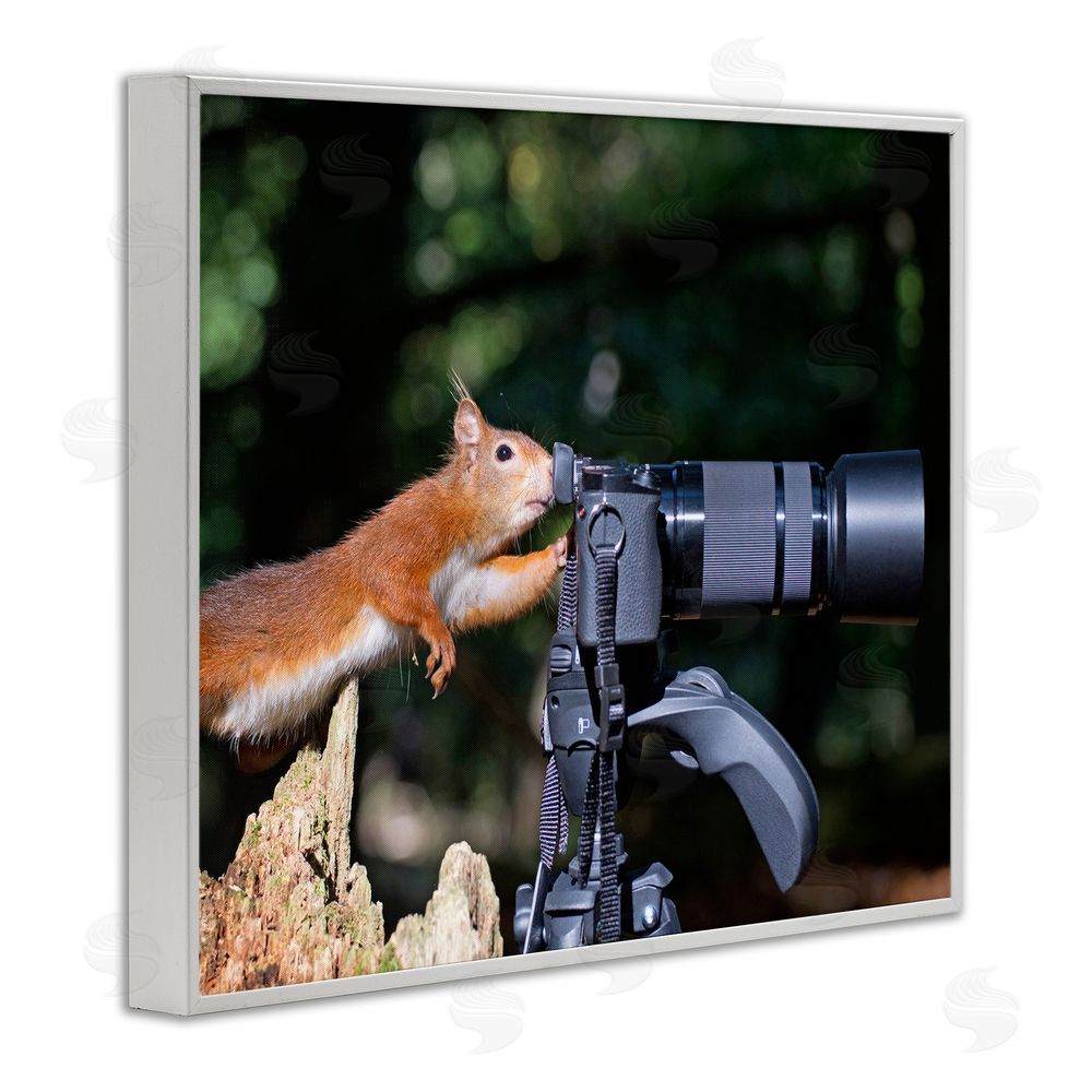 Julie Hunt Funny Squirrel Photographer White Framed Giclee Wall Art Print