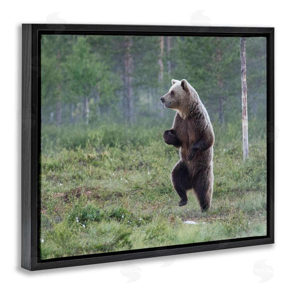 Alex Jevon Dancing Bear in Forest Black Floating Frame Canvas Wall Art Print