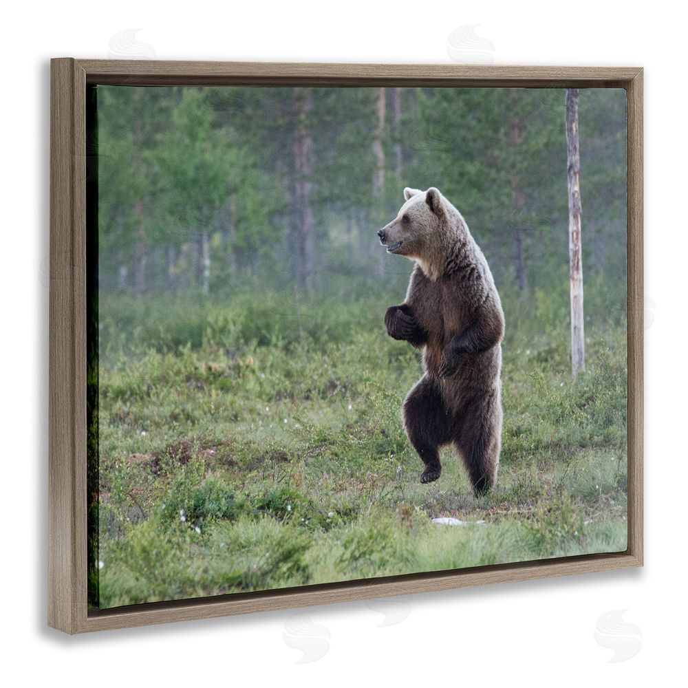 Alex Jevon Dancing Bear in Forest Brown Floating Frame Canvas Wall Art Print