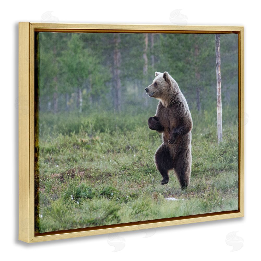 Alex Jevon Dancing Bear in Forest Gold Floating Frame Canvas Wall Art Print