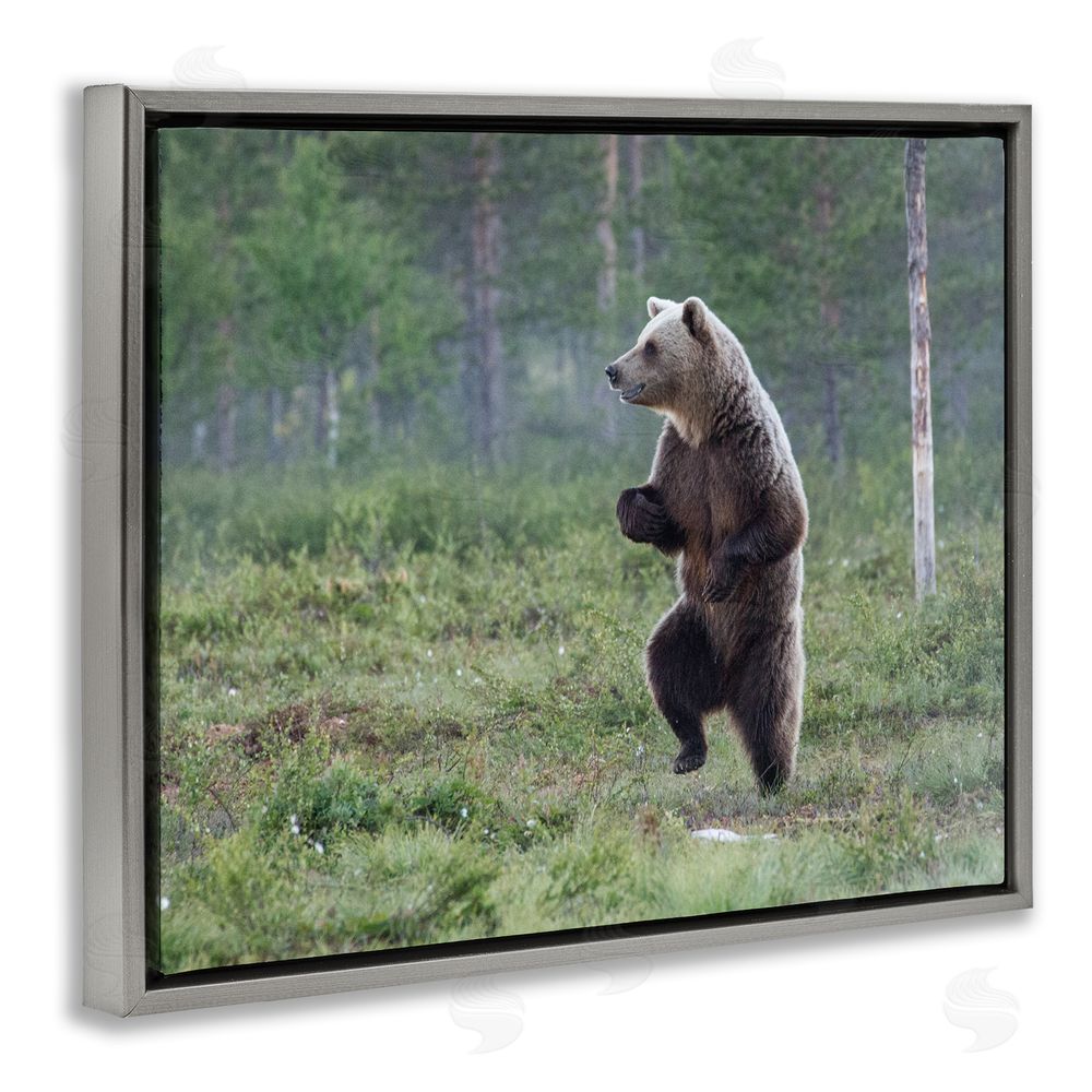 Alex Jevon Dancing Bear in Forest Grey Floating Frame Canvas Wall Art Print