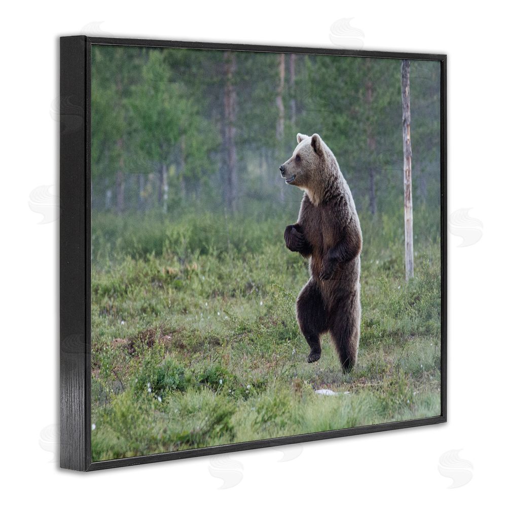 Alex Jevon Dancing Bear in Forest Black Framed Giclee Wall Art Print