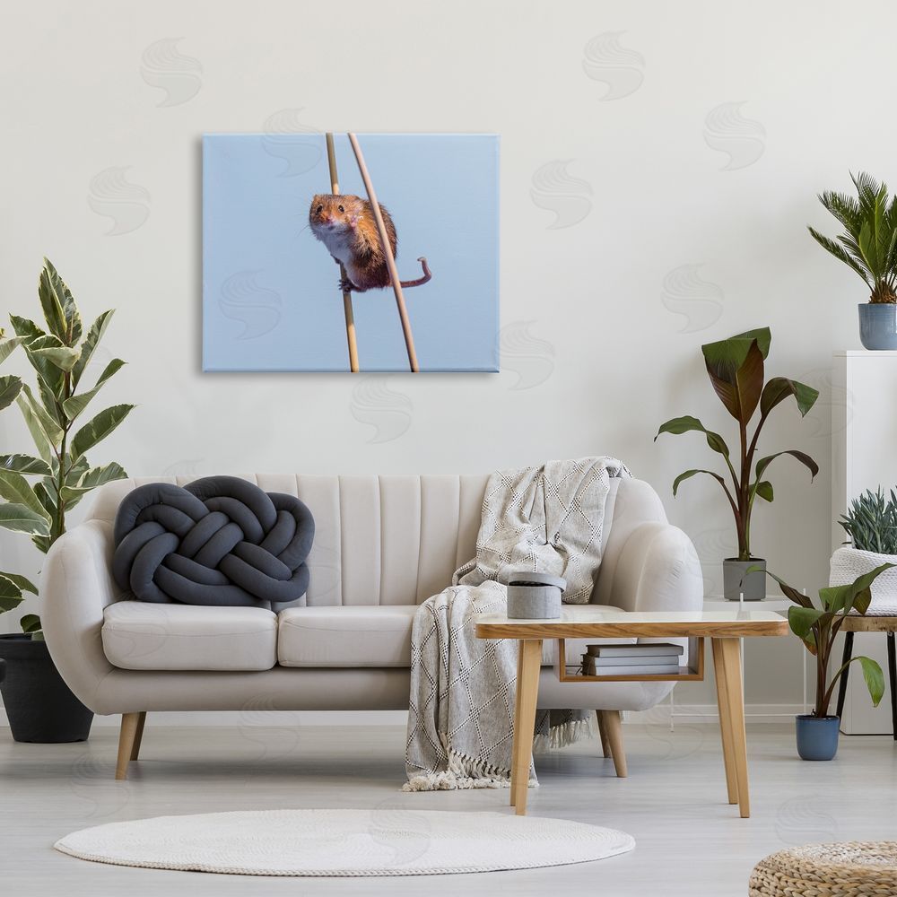 Michael Erwin Funny Balancing Mouse Canvas Wall Art Print in Room