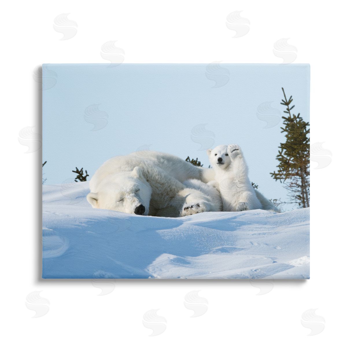 Philip Marazzi Polar Bear Cub with Mom Stretched Canvas Wall Art Print