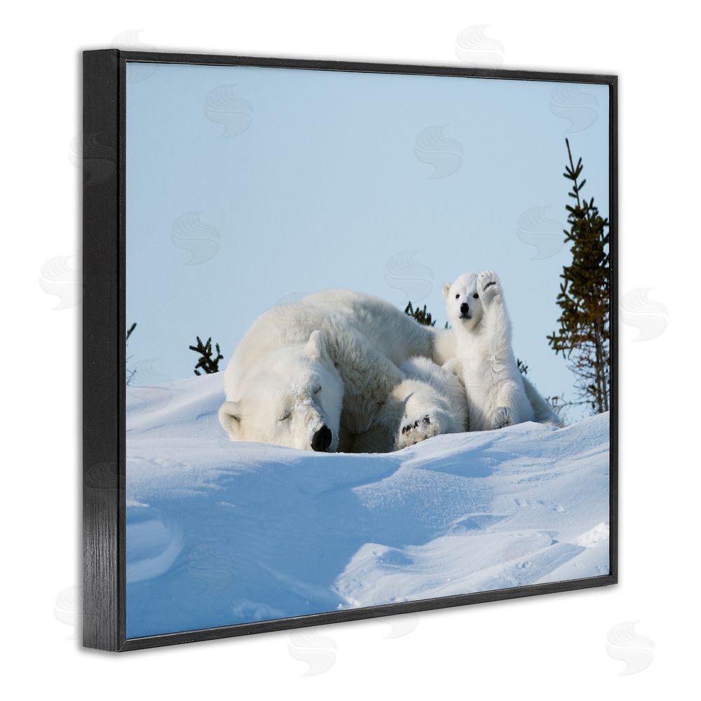Philip Marazzi Polar Bear Cub with Mom Black Framed Giclee Wall Art Print
