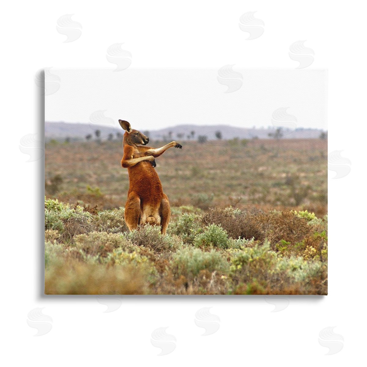 Andrey Glijov Kangaroo Savanna Landscape Stretched Canvas Wall Art Print