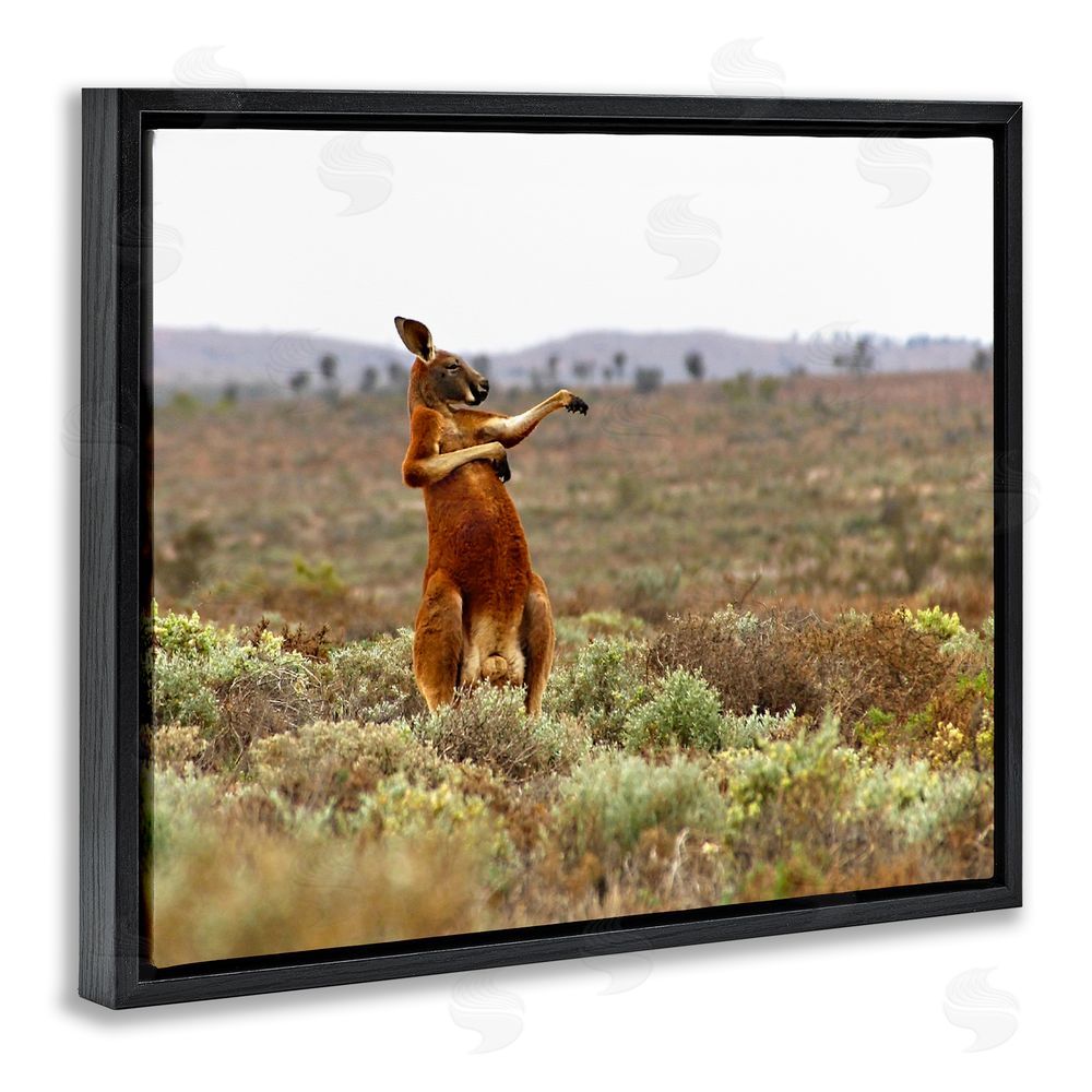 Andrey Glijov Kangaroo Savanna Landscape Black Floating Frame Canvas Wall Art Print