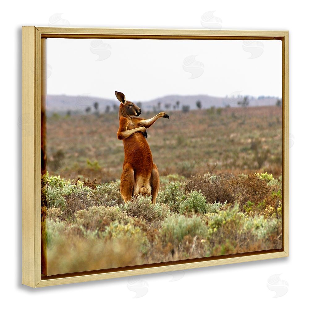Andrey Glijov Kangaroo Savanna Landscape Gold Floating Frame Canvas Wall Art Print